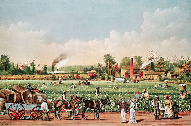 HISTORY: FORM THREE: Topic 3 - COLONIAL ECONOMY - MSOMI BORA