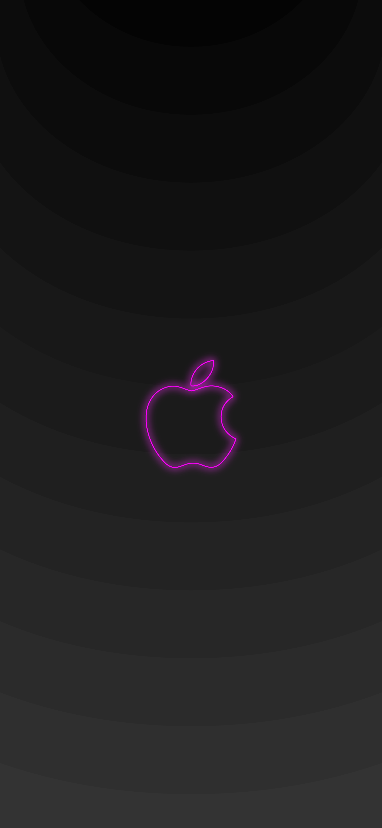 Apple Logo White Background Wallpaper iPhone Phone 4K #6690e