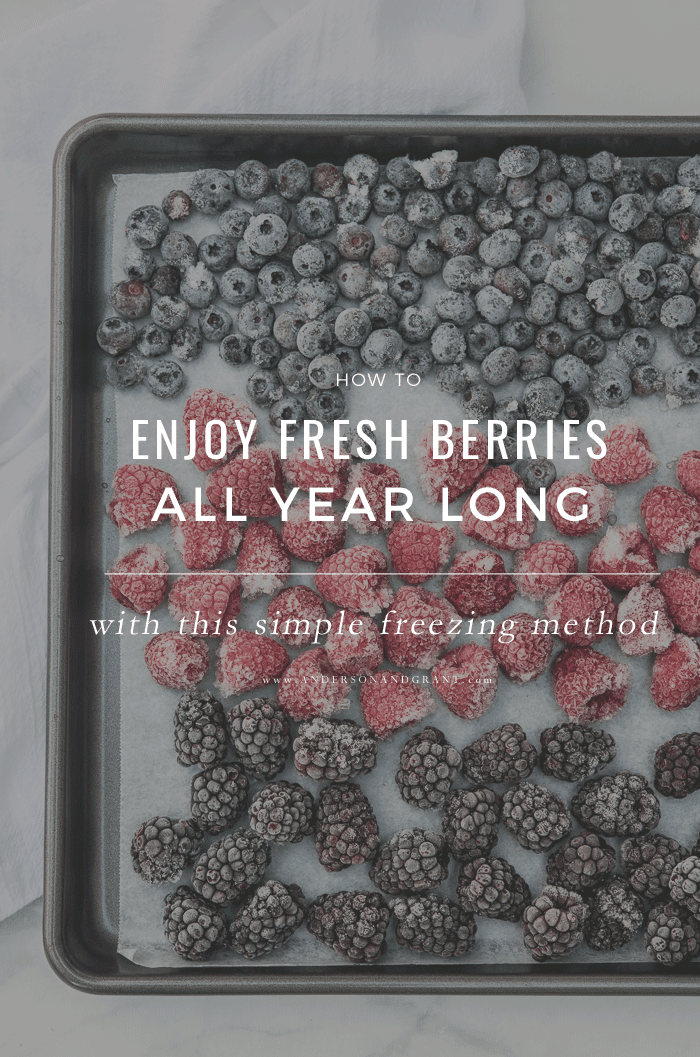 Enjoy Fresh Berries All Year with This Simple Freezing Method
