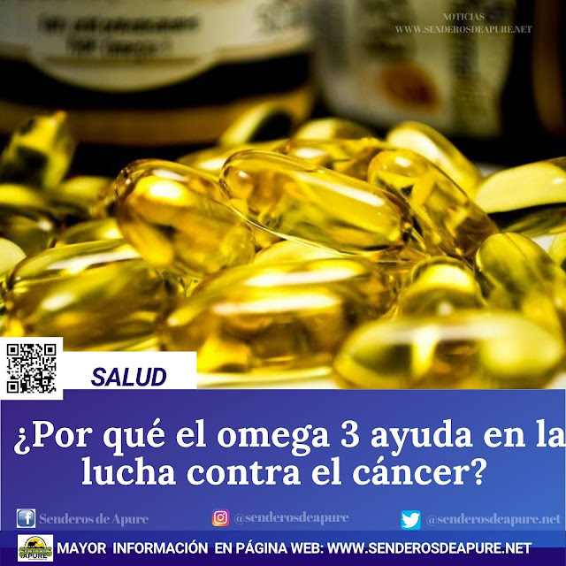 SALUD ¿Por qué el omega 3 ayuda en la lucha contra el cáncer