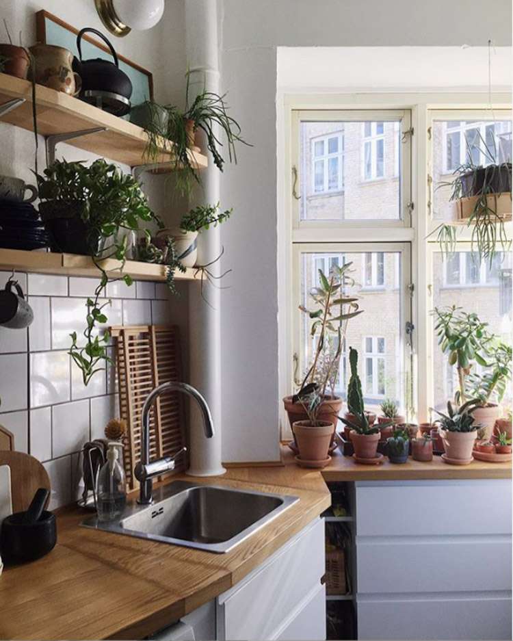 The Relaxed, Boho Copenhagen Home of a Plant Enthusiast