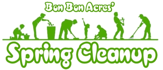 Reflections from Bon Bon Pond: Spring Cleanup
