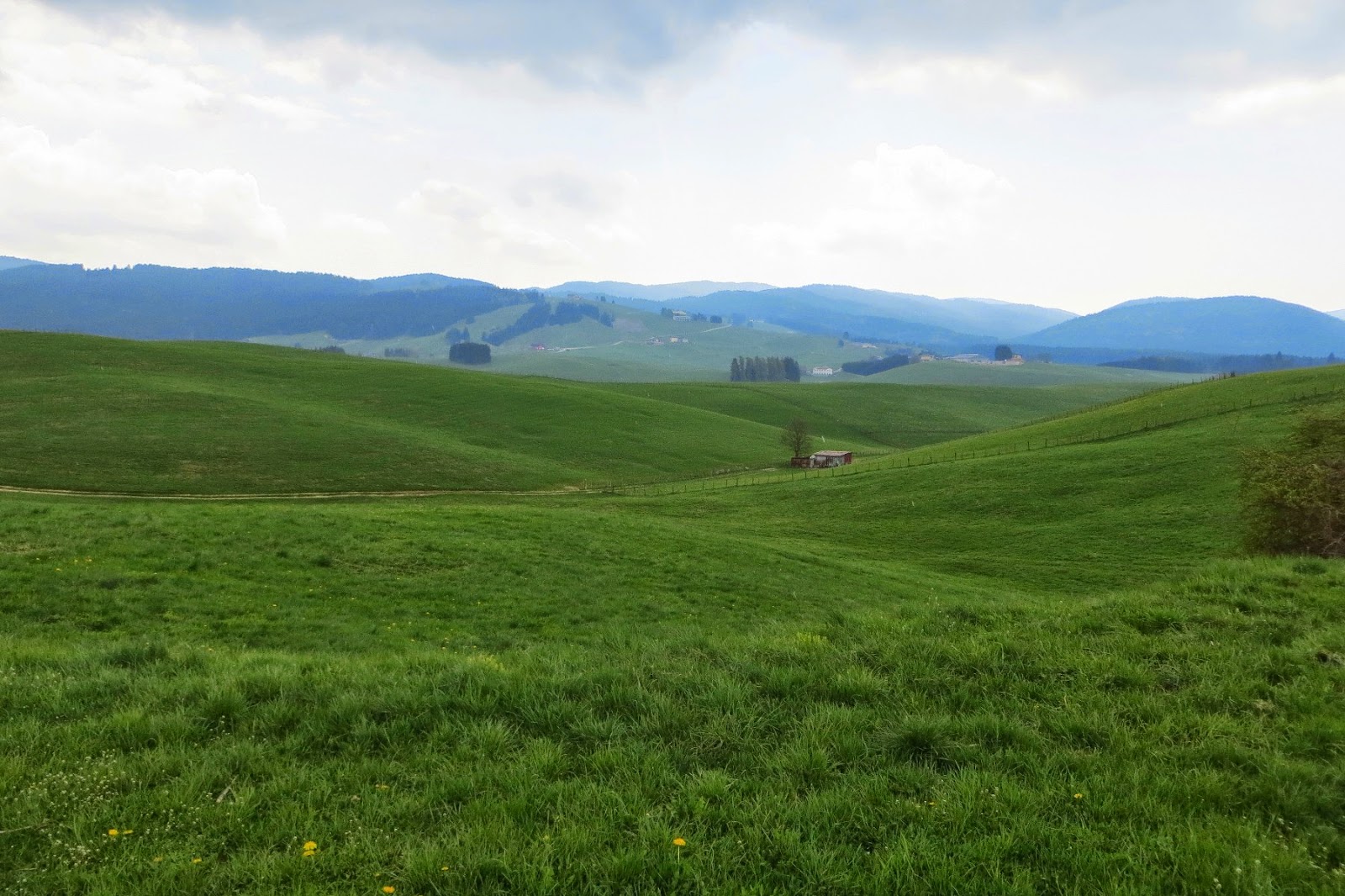 strada del vecchio trenino passeggiata asiago