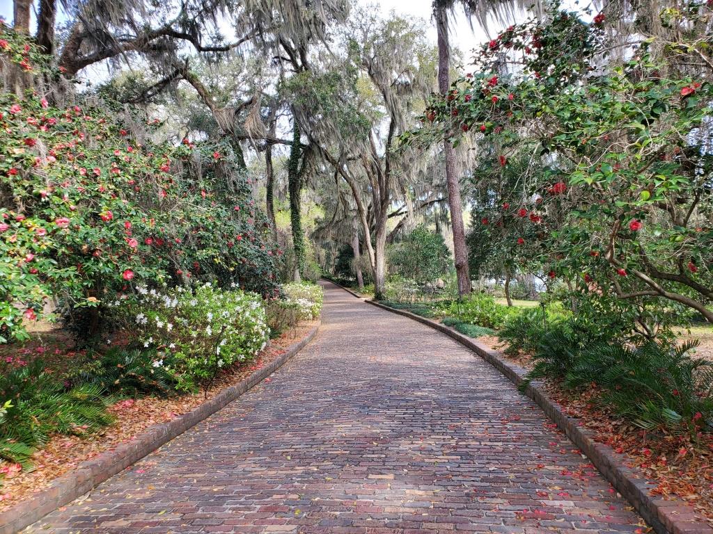 David & Donna's Great Adventure Maclay Gardens/Disney Springs