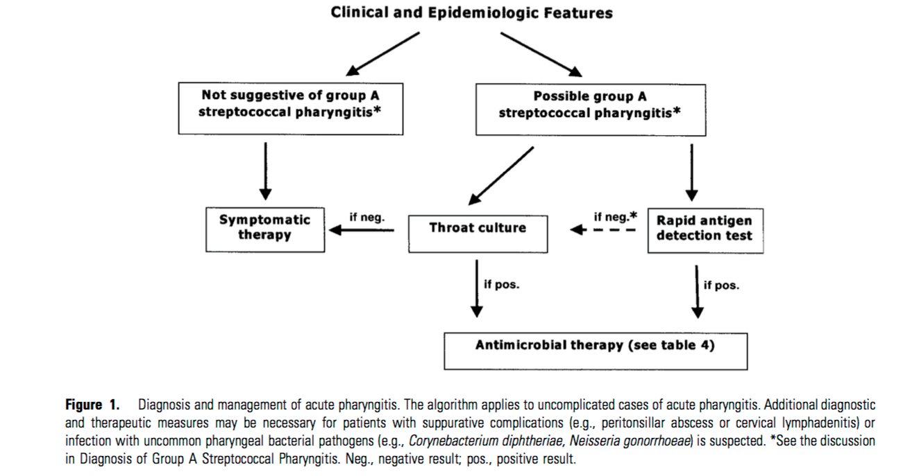 EM Didactic GABHS Pharyngitis Strep throat