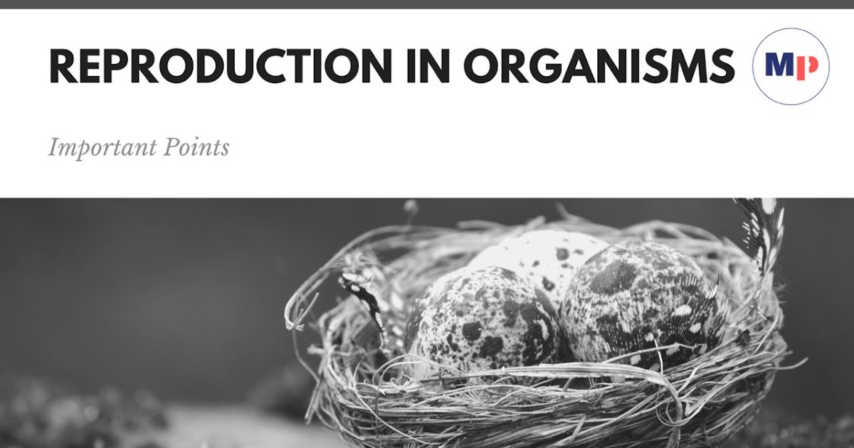 Reproduction in Organisms
