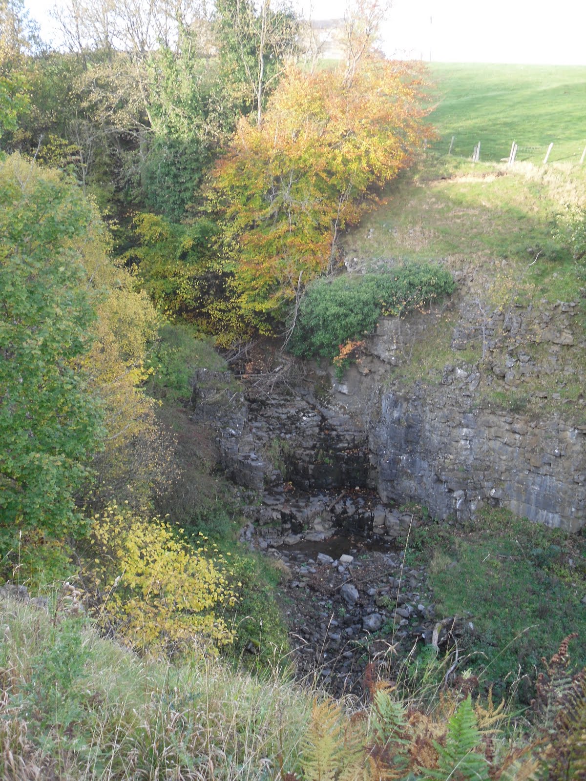 Rambling Nana Stanhope & Wolsingham Park Moor