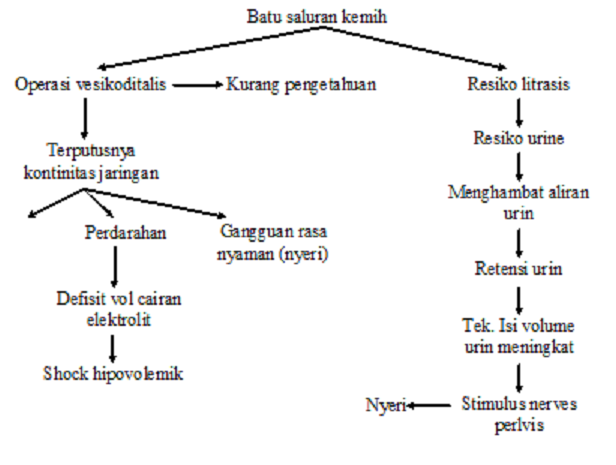 KESEHATAN, MOTIVASI DAN INSPIRASI LAPORAN PENDAHULUAN DAN