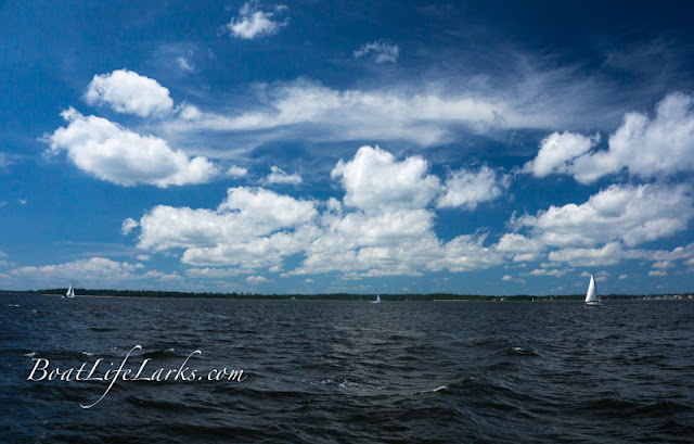 Sailboats against a blue sky, Neuse River, North Carolina