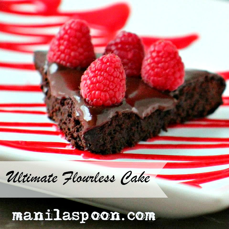 Ultimate Flourless Chocolate Cake (with Raspberry Coulis)