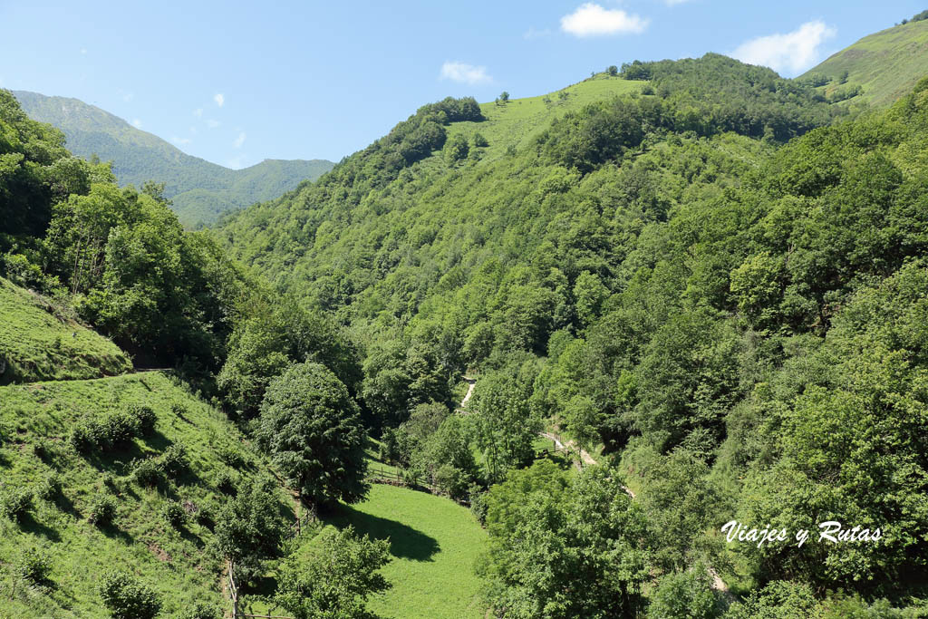 Foces de El Pino, Asturias