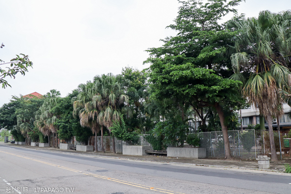 台中北屯|鉅虹建設海天橋水岸公園|百日草|落羽松|阿勃勒|美景盡收眼底 台中北屯|鉅虹建設海天橋水岸公園|百日草|落羽松|阿勃勒|美景盡收眼底