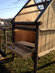 chicken swing coop turned introducing chicks chickens nesting built side he box main