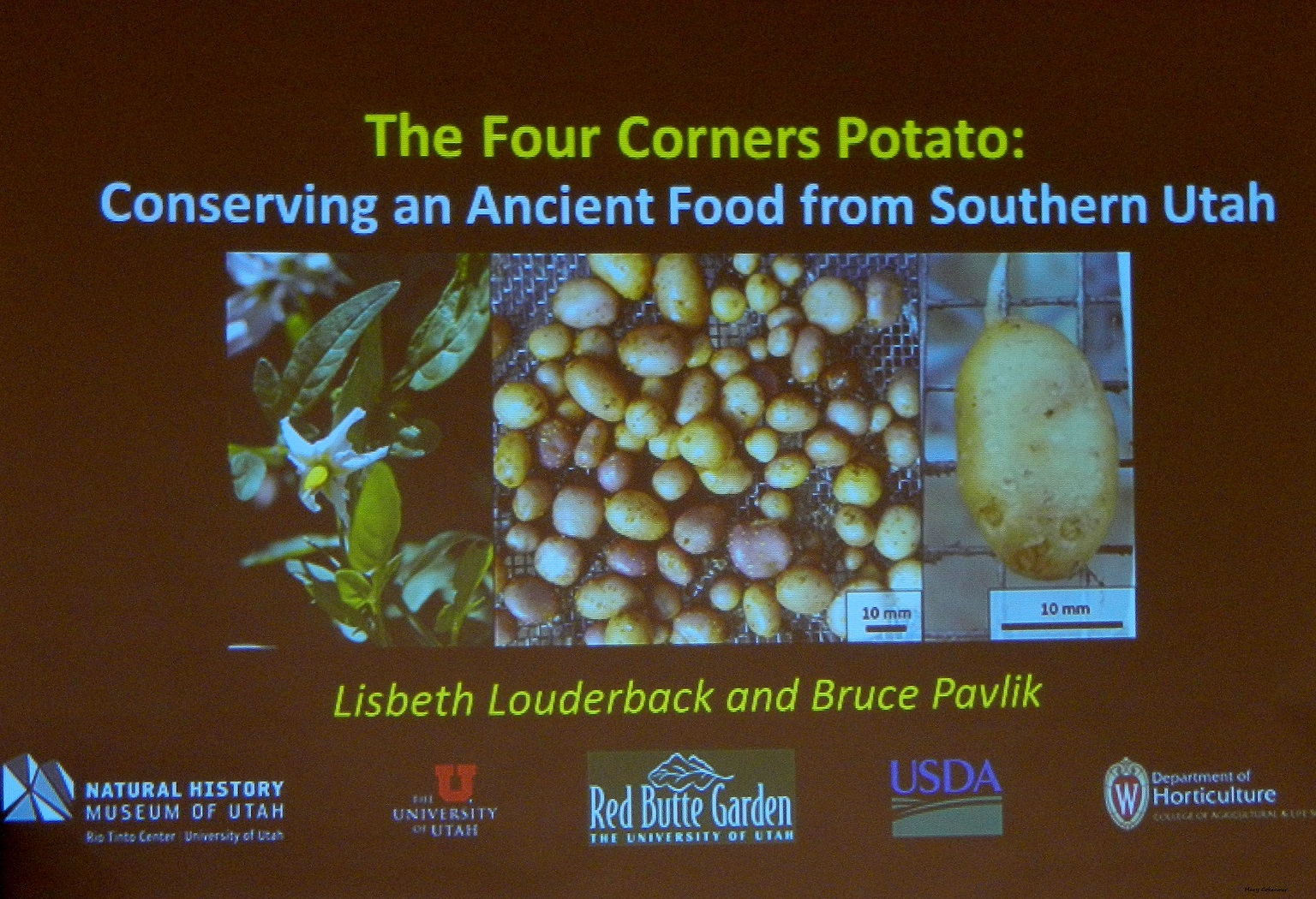 Food Adventures of a Comfort Cook So, What's with the Potatoes?