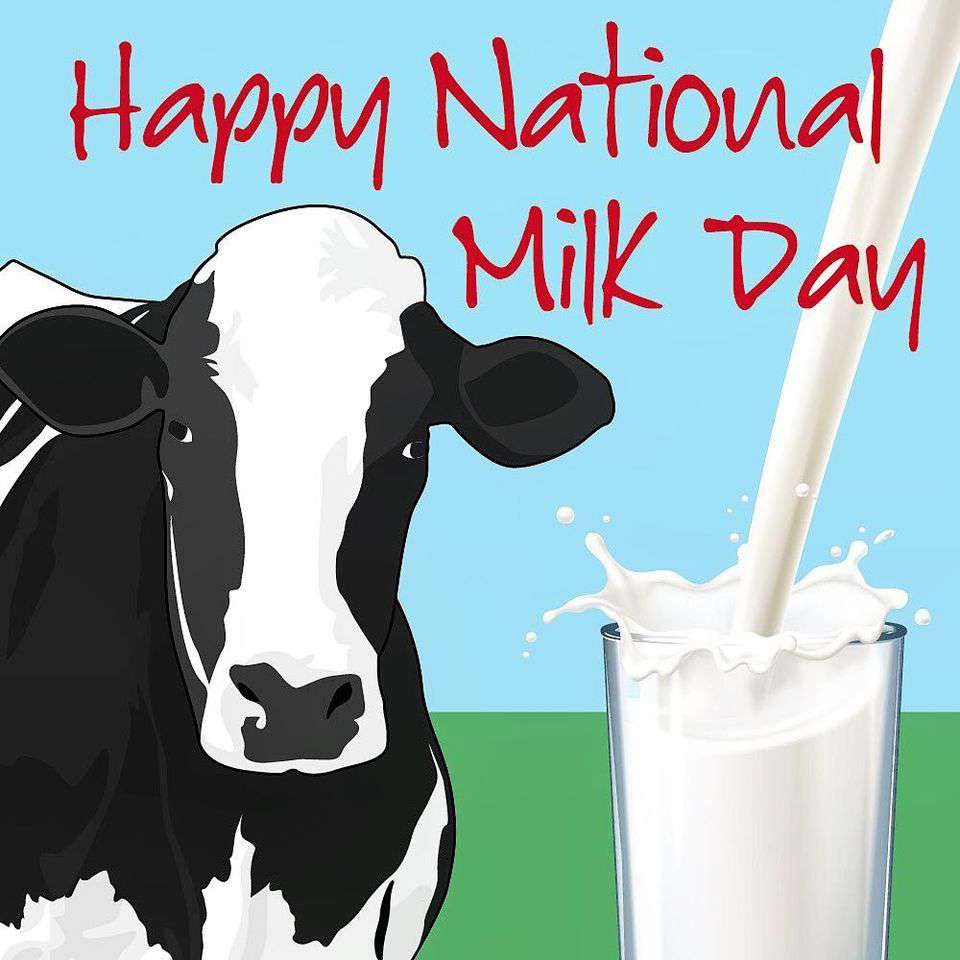 National Milk Day Wishes for Instagram