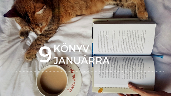 A sorskirálynő haragjának mérkőzése
