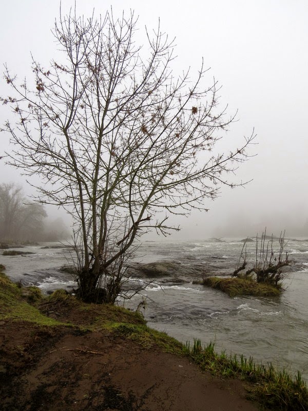 Photos by Jan Off D Street in Springfield,Oregon/Then Day Island Park