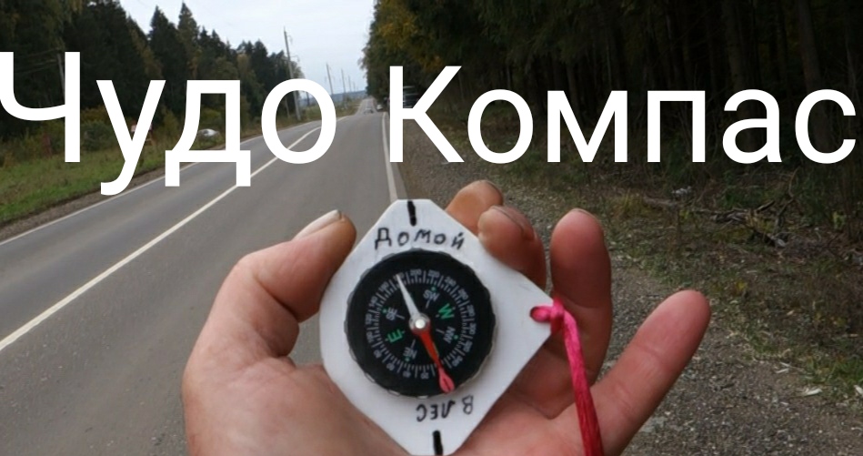 Пользоваться компасом в лесу. Московский компас спортивное ориентирование. Ориентирование в лесу по компасу. Ориентирование на местности по карте и компасу азимут. Компас для ориентирования в лесу.