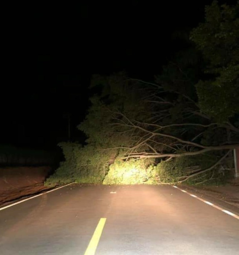 CAINDO NA ESTRADA - T.S.O.