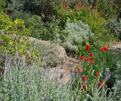 Sparoza Garden, un jardín mediterráneo experimental a las afueras de Atenas