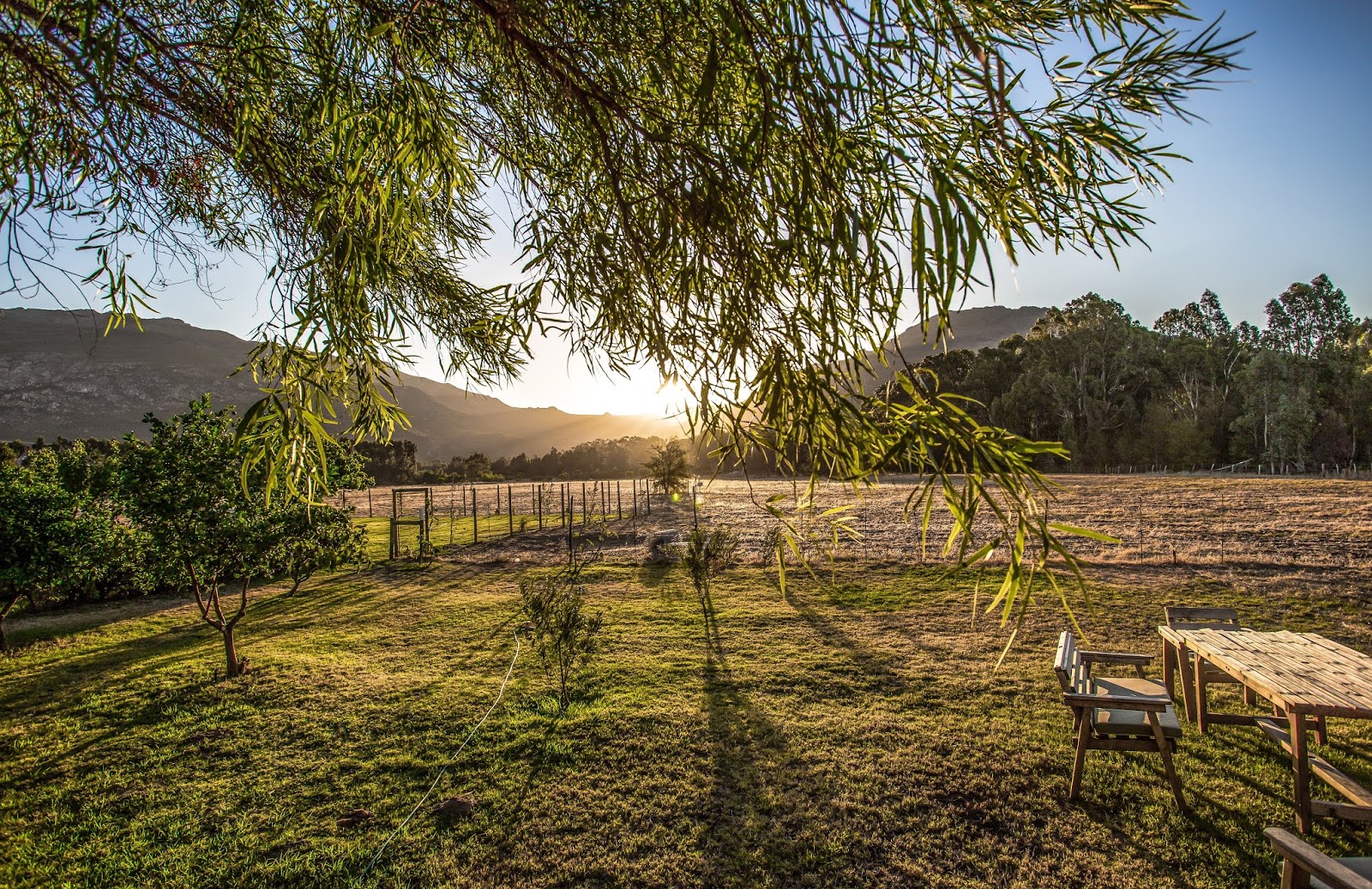 The best prepacked picnic spots in the Cape Town