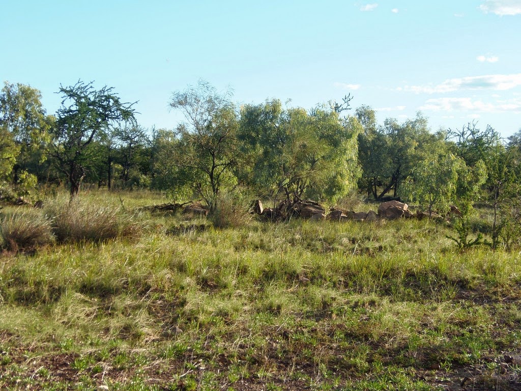Solo Steve On The Road NEWCASTLE CREEK BRIDGE, A TRUE FREE CAMP