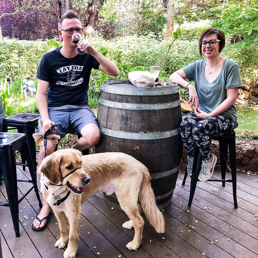 Best DogFriendly Wineries in Australia Australian Dog Lover