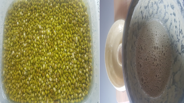 soaked mung beans