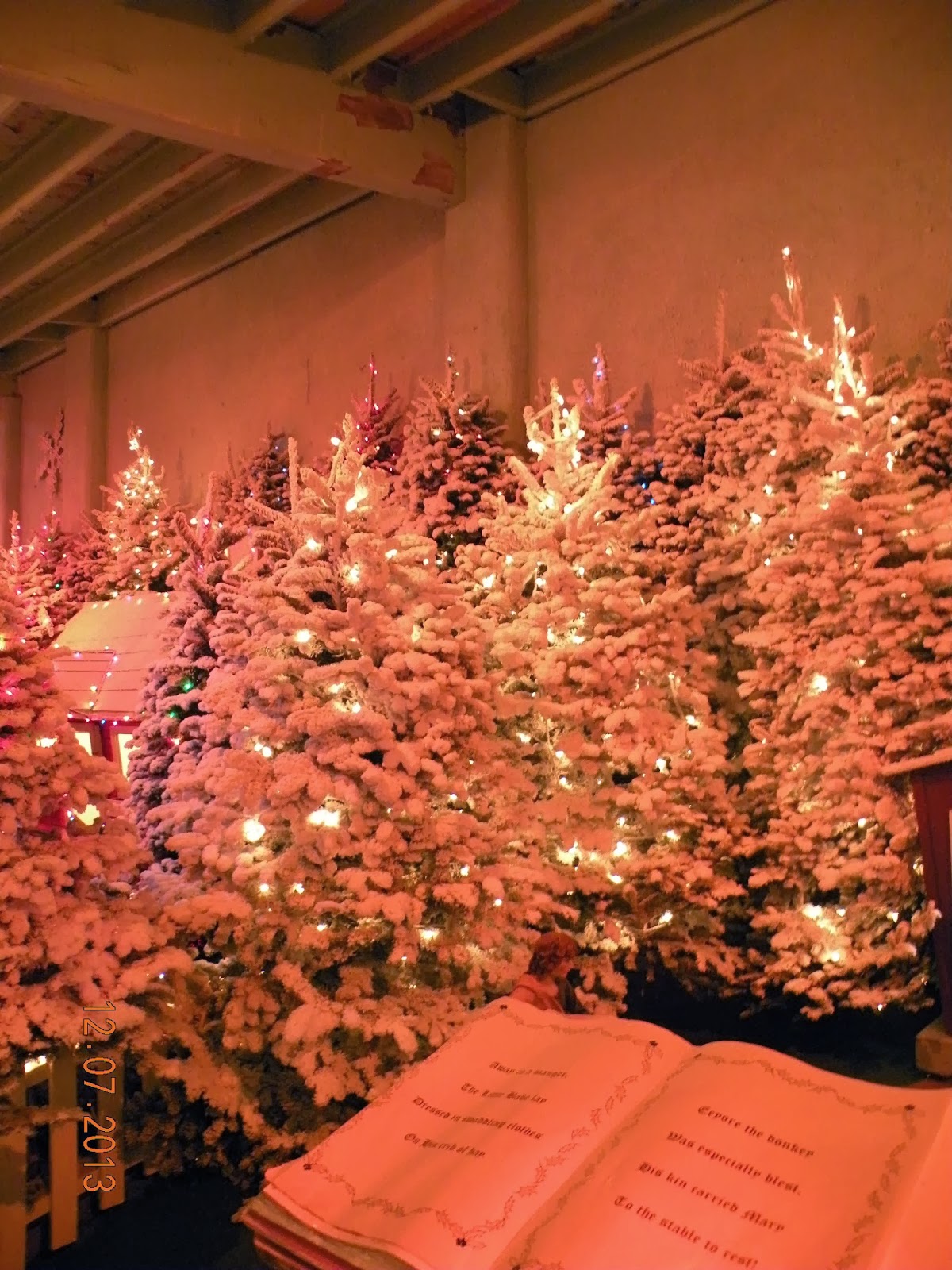 Morris Family Memories Alpenrose Christmas Land