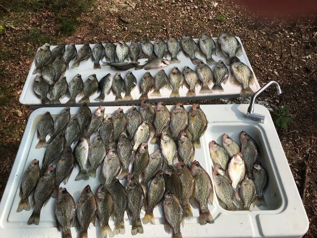 lake-anna-striper-guide-journal-lake-anna-crappie