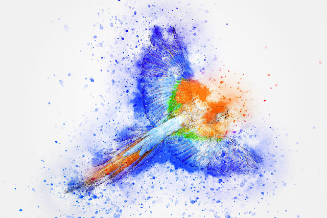 beautiful birds painting beautiful birds painting