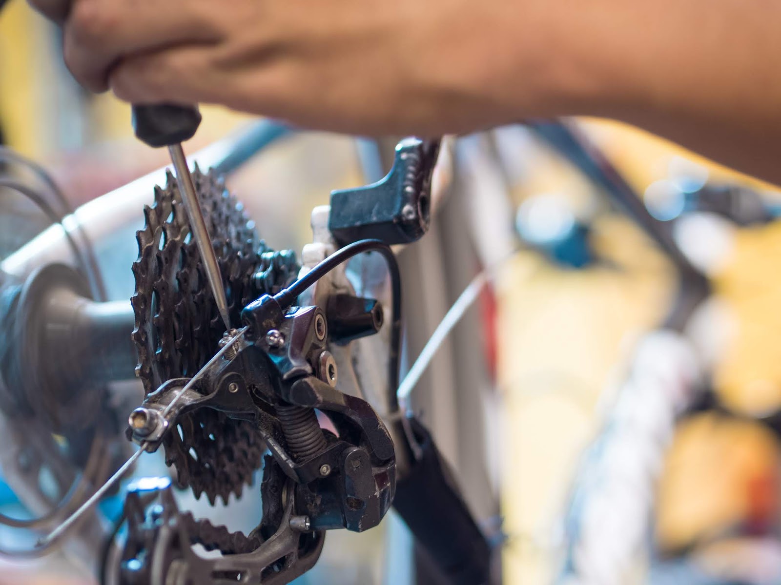 The Upward Trend Blog Velo Wrench Bike Shop Specializes in Personal