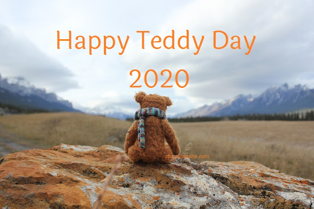 Teddy Day Shayari in Hindi
