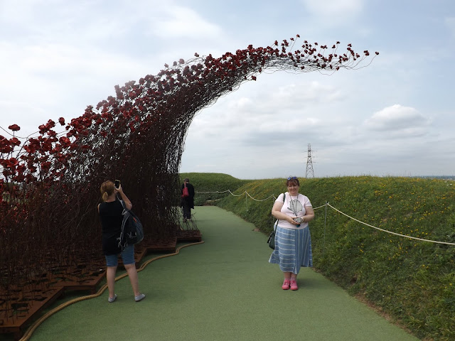 Poppies: Wave at Fort Nelson