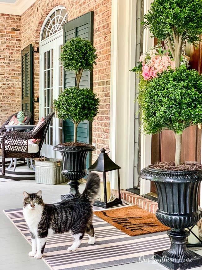 Front porch and mr cat