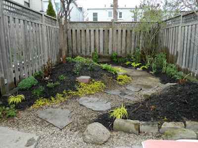 Coxwell Danforth backyard renovation after Paul Jung Gardening Services Toronto