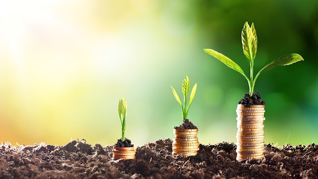 Best Investment Options in India for Middle and High Class