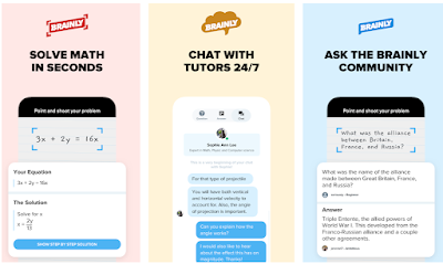 Brainly website and app/homework helper