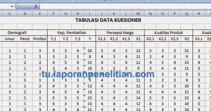 Tabulasi Data di Microsoft Excel ke SPSS