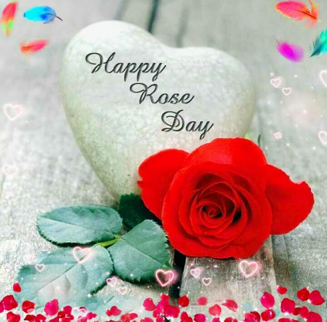 Rose Day Images For Whatsapp