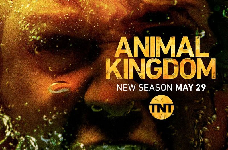 The Movie Sleuth TV Animal Kingdom S03 E01 Reviewed