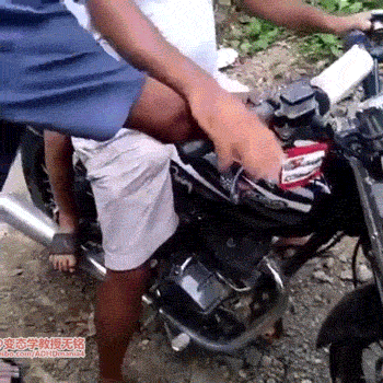 daily_gifdump_3338_23.gif