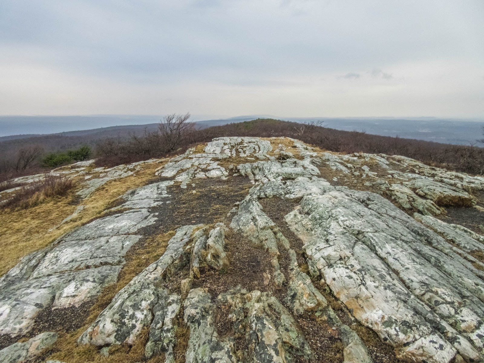 Cannundrums: High Point - New Jersey