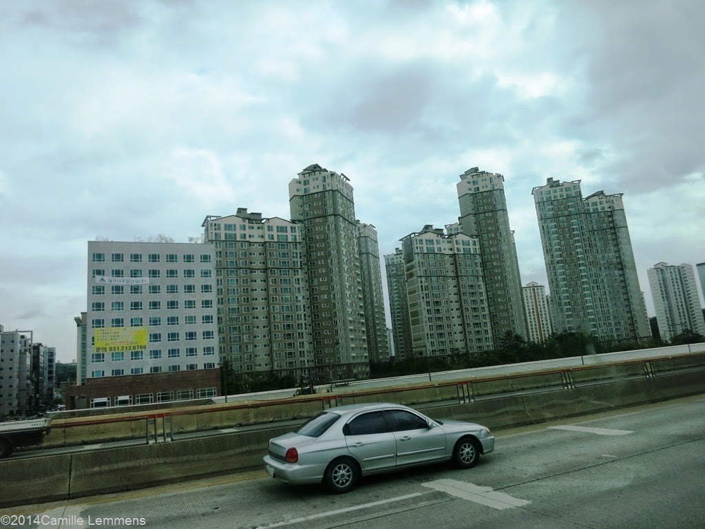 South Korean highway view