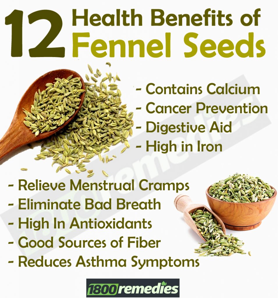 Benefits Of Fennel Seeds Kisah Si Dairy