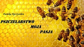 Pszczelarstwo - Blog o pasji, hobby, pracy związanej z pszczołami