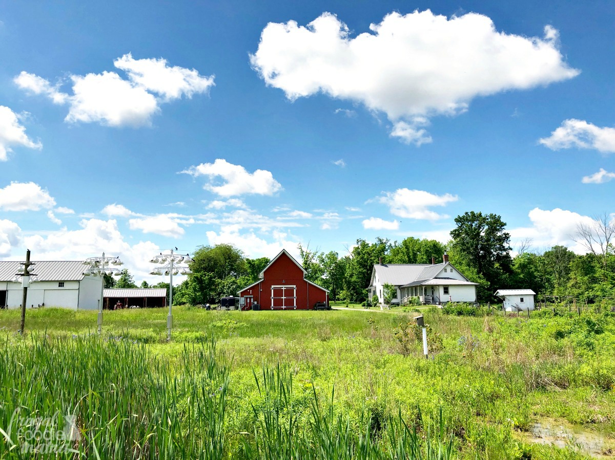 Frugal Foodie Mama 4 Fun Things to Do in Delaware County, Ohio for