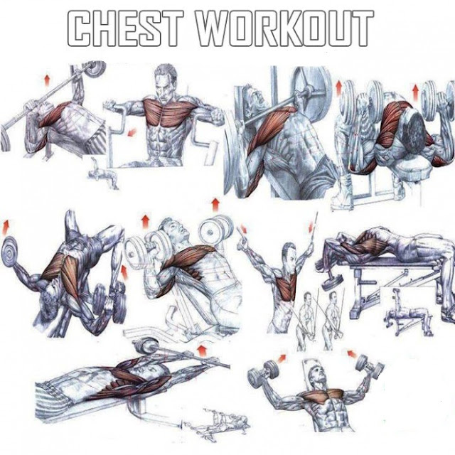 How To Build Chest Muscles Get Massive Pecs multiple fitness