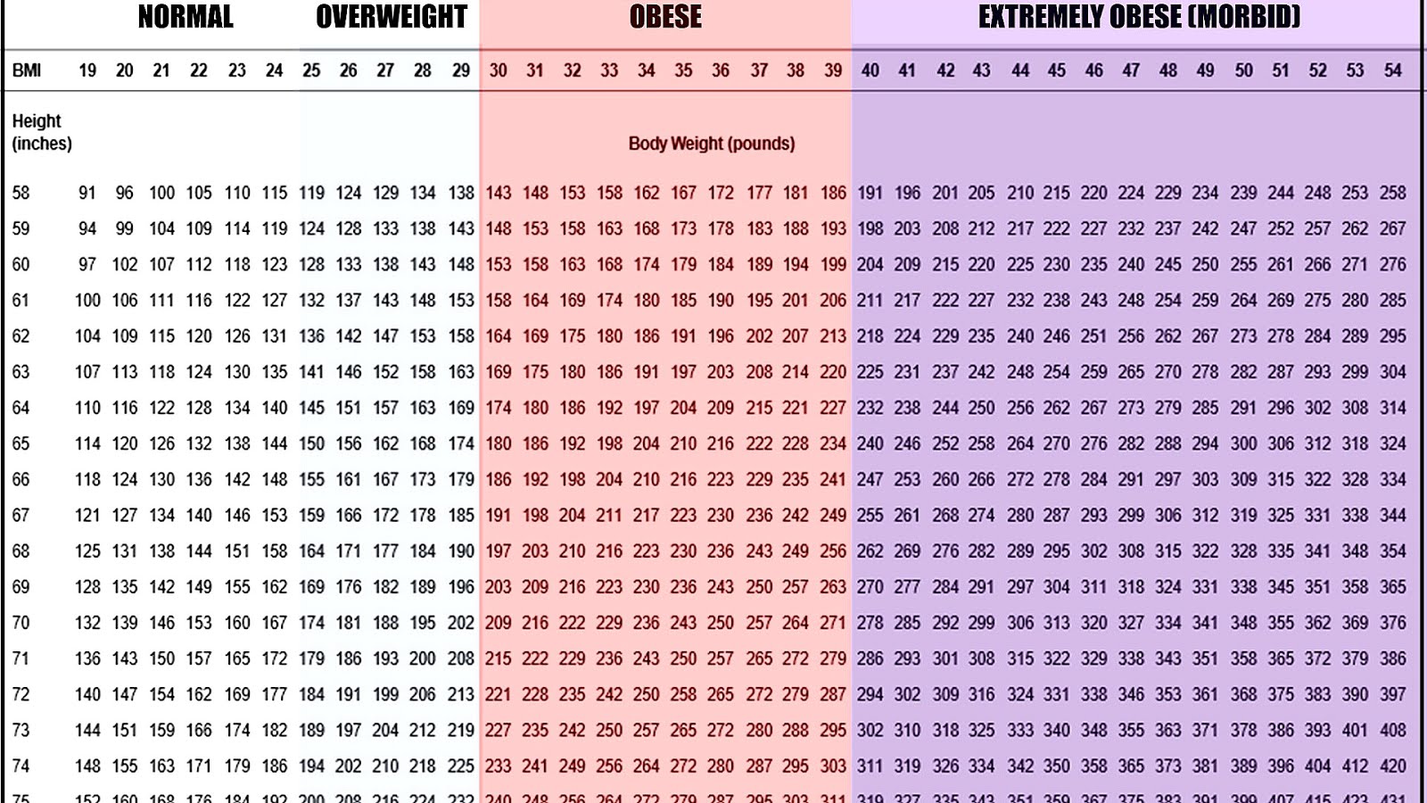 calculate your bmi free body mass index calculator calculate your bmi free body mass index calculator