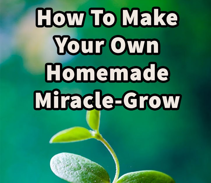 How To Make Your Own Homemade MiracleGrow